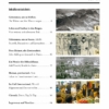 Davoser Revue – Ausgabe Einwandern, Inhaltsverzeichnis
