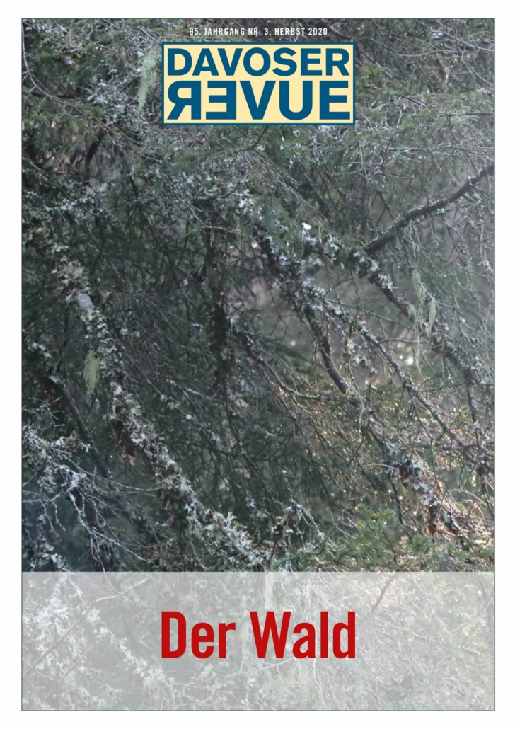 Davoser Revue – Ausgabe Wald, Titelbild