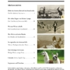 Davoser Revue – Ausgabe Tiere, Inhaltsverzeichnis
